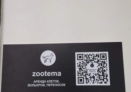 Zootema