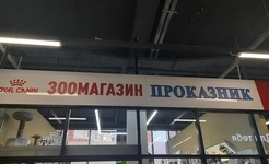 Проказник