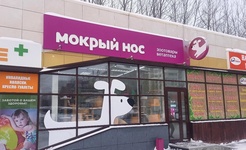 Мокрый нос