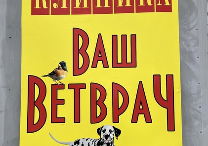 Ваш вет врач