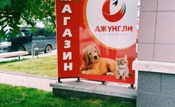 Джунгли