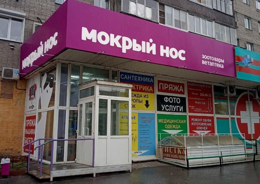 Мокрый нос