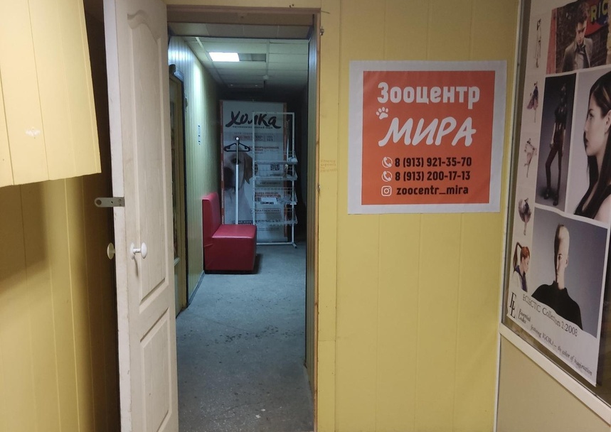 Мира