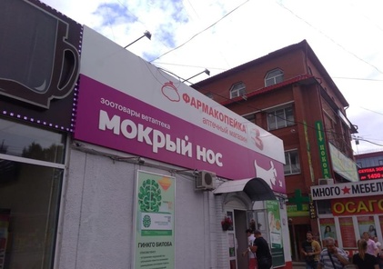 Мокрый нос