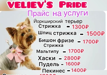 veliev’s pride