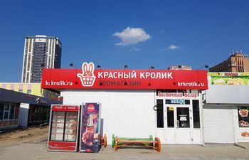 Красный кролик