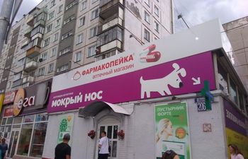 Мокрый нос