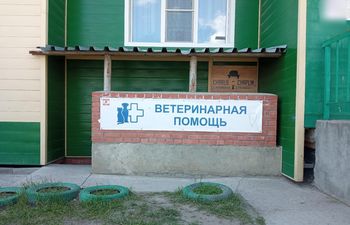 Кабинет ветеринарной помощи