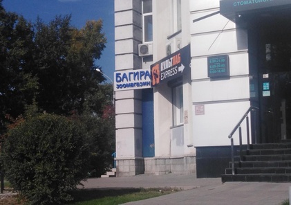 Багира