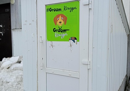 Groom конура